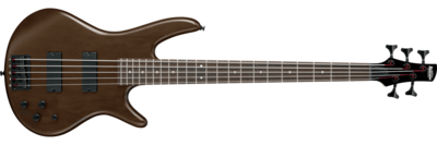 Ibanez GSR205BWNF 5 String Walnut